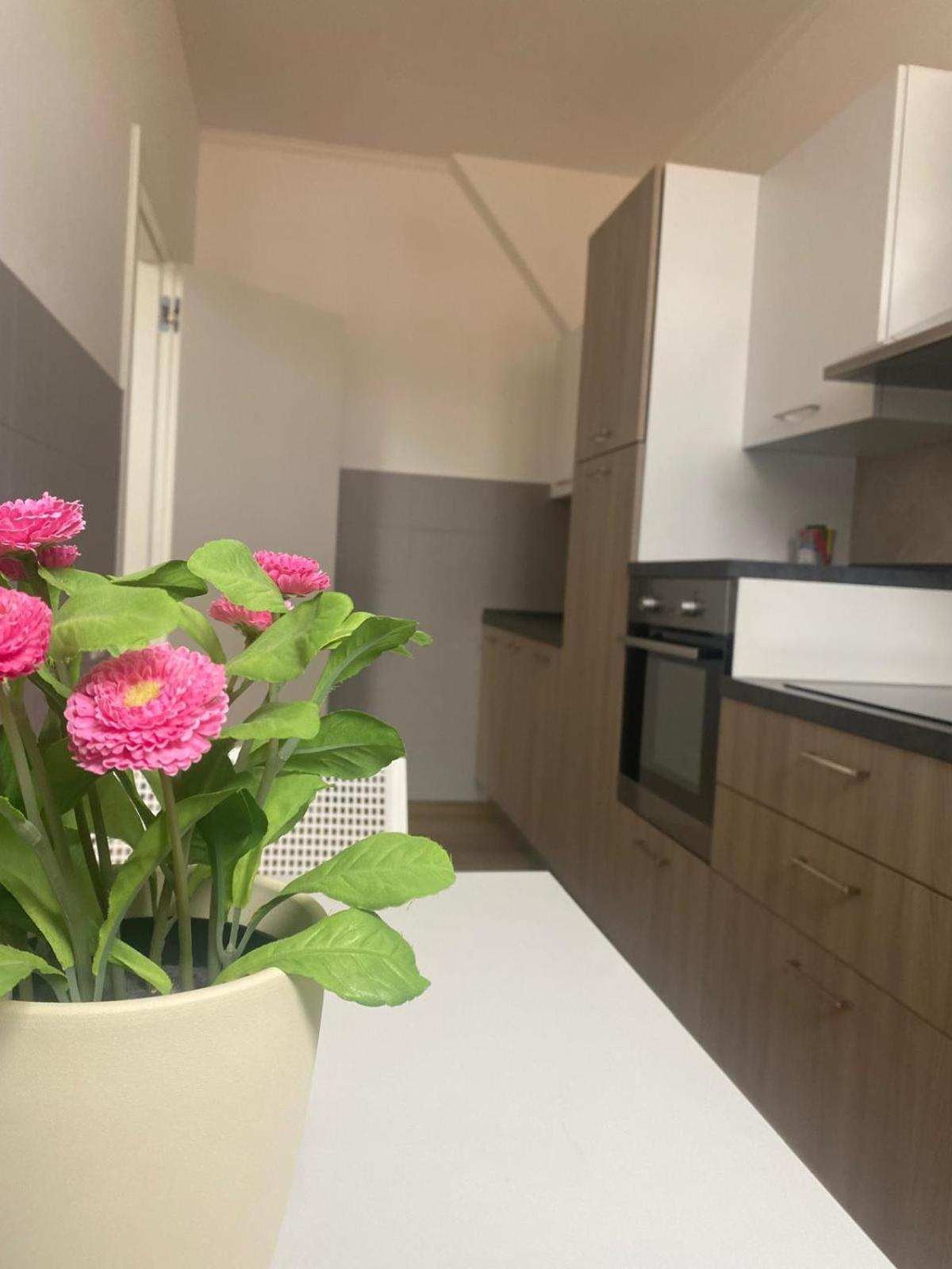 Palazzo Venezian 5 Apartment Trieste Ngoại thất bức ảnh